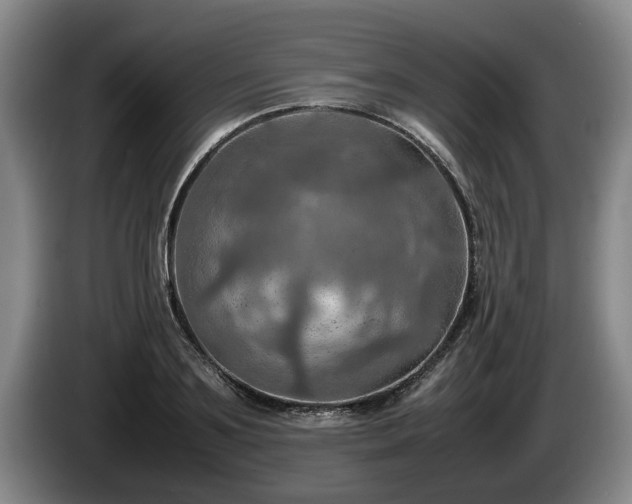 X0000086230891200704051154