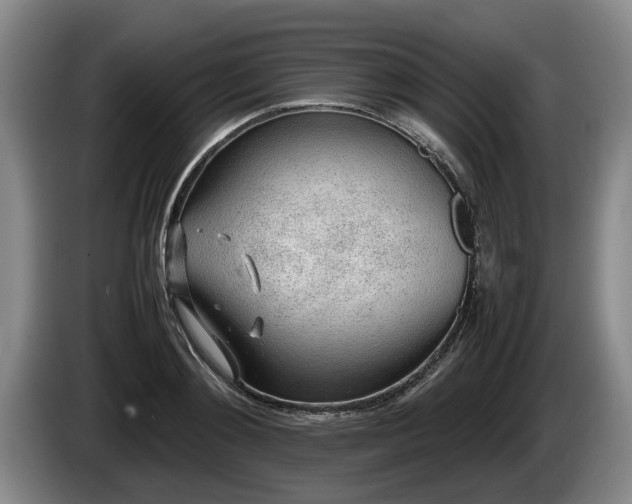 X0000086230892200704051154