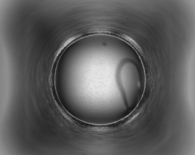 X0000086230893200704051154