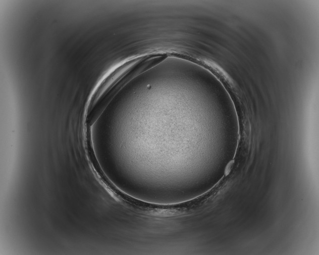 X0000086230894200704051154