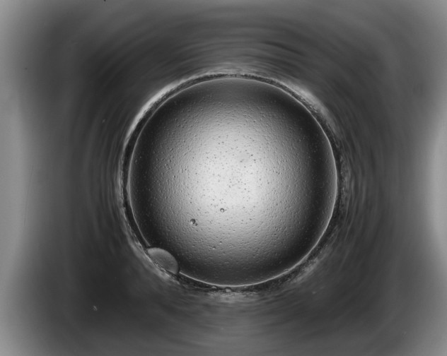 X0000086230896200704051154