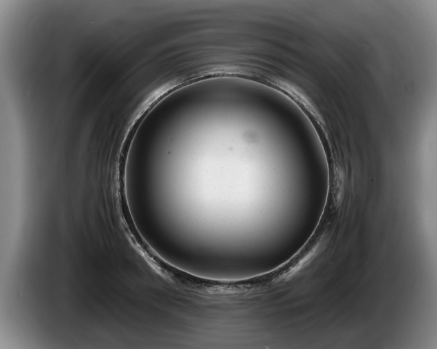 X0000086230898200704051154