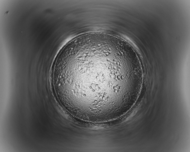 X0000086230899200704051154