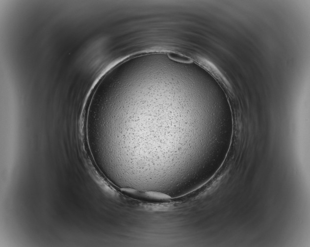 X0000086230900200704051154