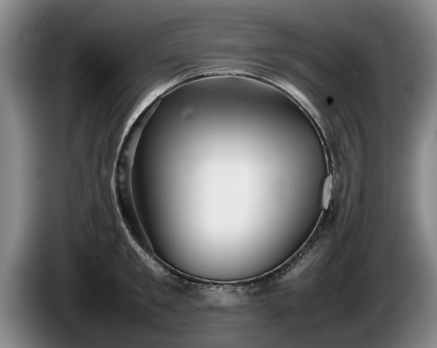 X0000086230901200704051154