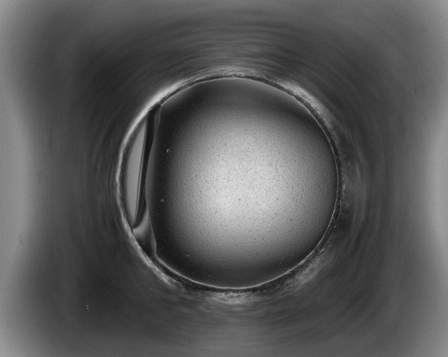 X0000086230902200704051154