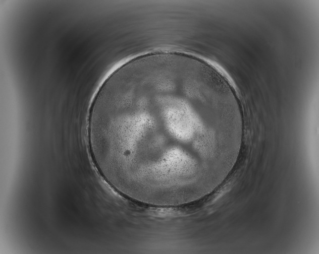 X0000086230903200704051154