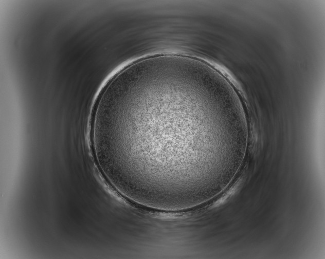 X0000086230904200704051154