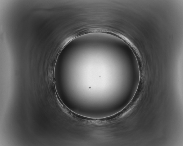 X0000086230905200704051154