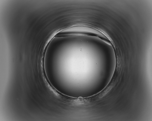 X0000086230906200704051154