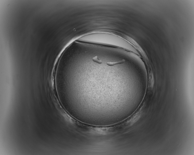 X0000086230908200704051153