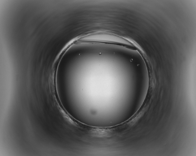 X0000086230910200704051153