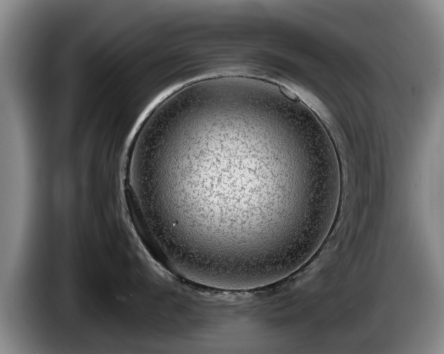 X0000086230912200704051153