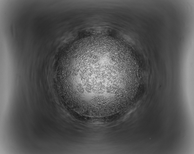 X0000086230913200704051153
