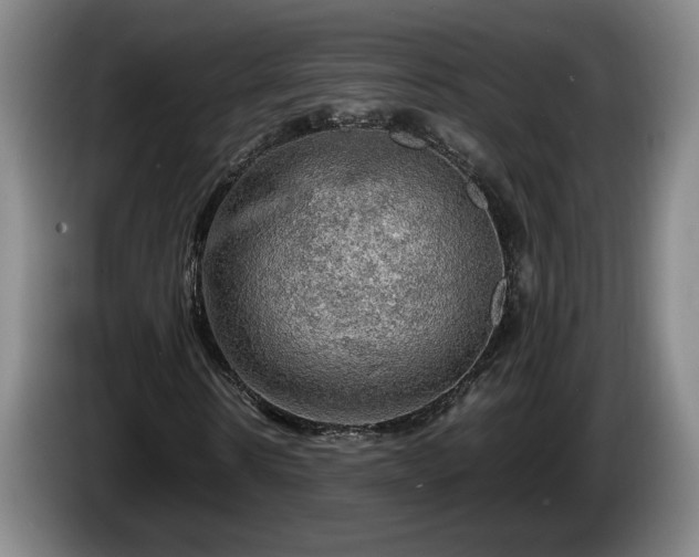X0000086230914200704051153