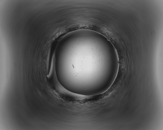 X0000086230916200704051153