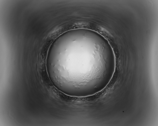 X0000086230917200704051153