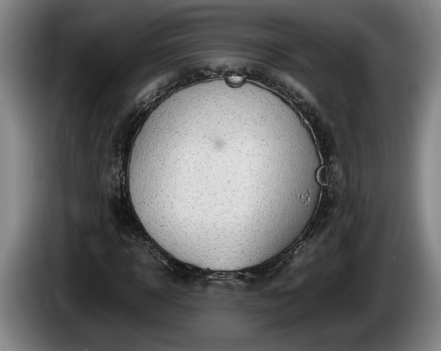 X0000086230918200704051153