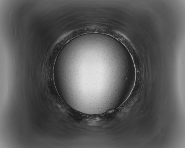 X0000086230919200704051153