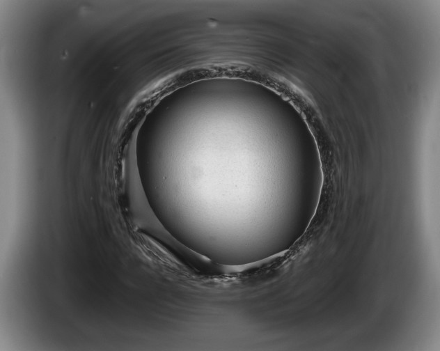 X0000086230920200704051153