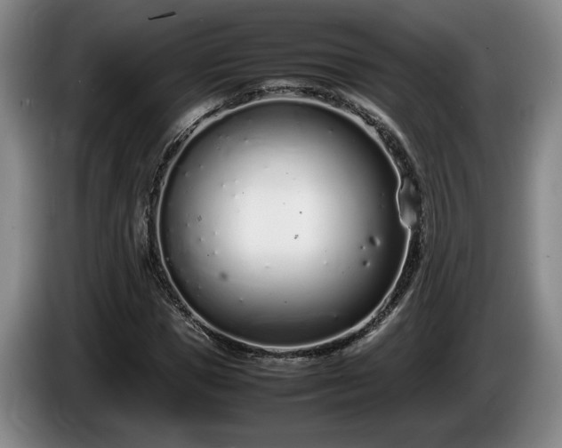 X0000086230921200704051153