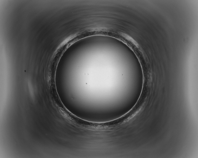 X0000086230922200704051153