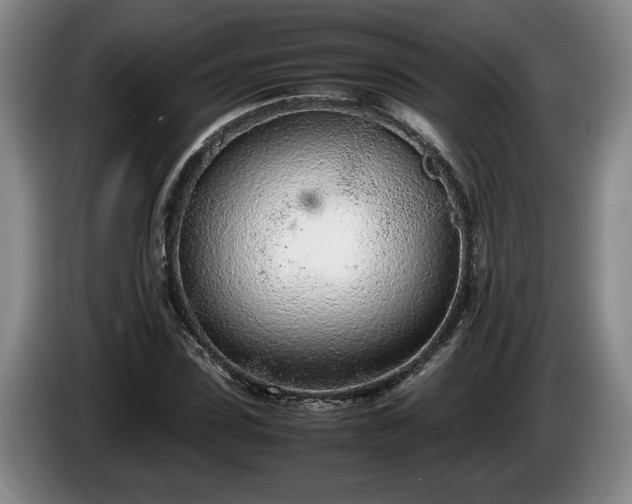 X0000086230923200704051153
