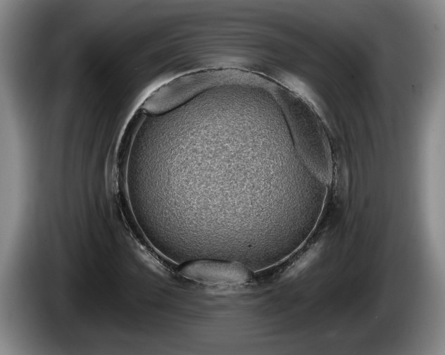 X0000086230924200704051153