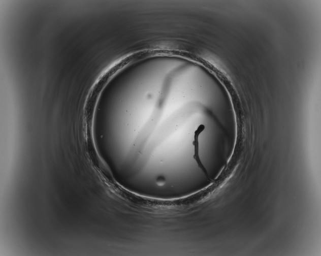 X0000086230925200704051153