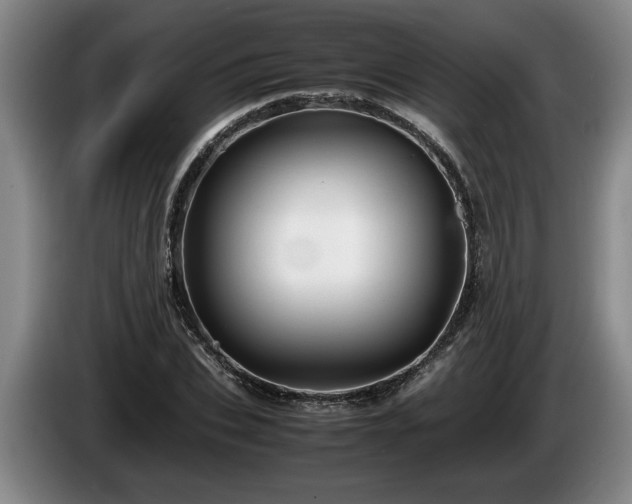 X0000086230927200704051153