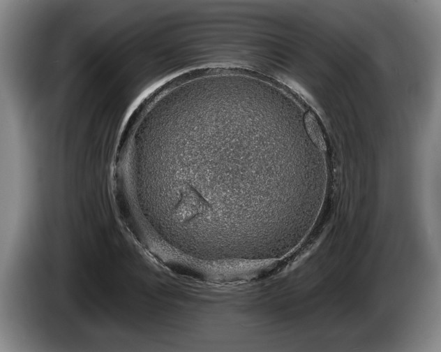 X0000086230928200704051153