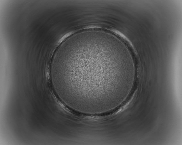 X0000086230929200704051153