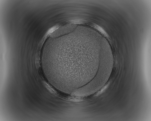 X0000086230930200704051153