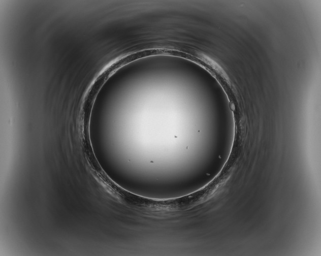 X0000086230931200704051153