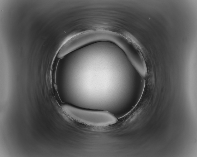 X0000086230932200704051153