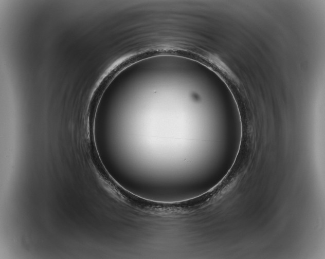 X0000086230934200704051153