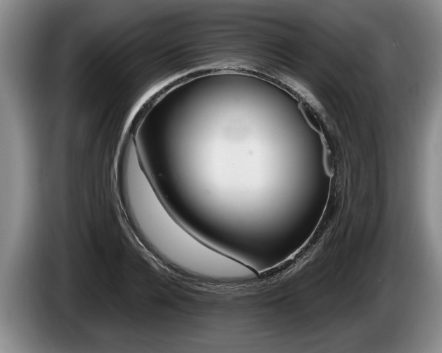 X0000086230936200704051153