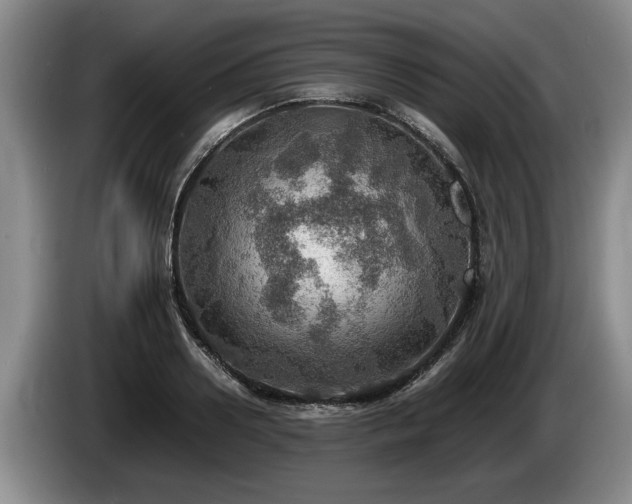 X0000086230938200704051153