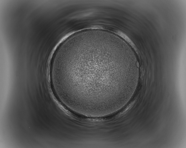X0000086230939200704051153