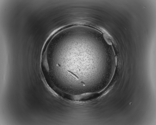 X0000086230940200704051153