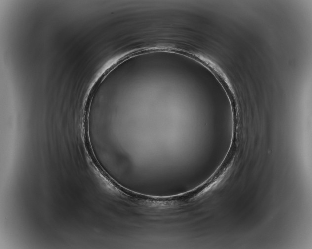 X0000086230941200704051153