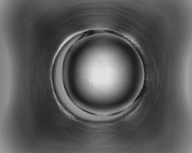 X0000086230942200704051153