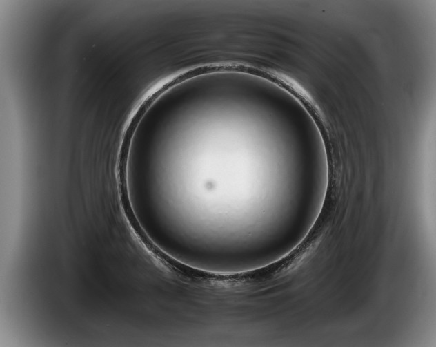 X0000086230943200704051153
