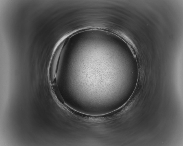 X0000086230944200704051153
