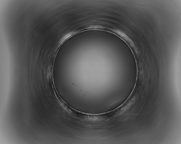 X0000086230945200704051153