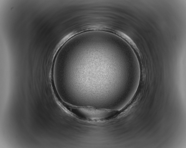 X0000086230946200704051153
