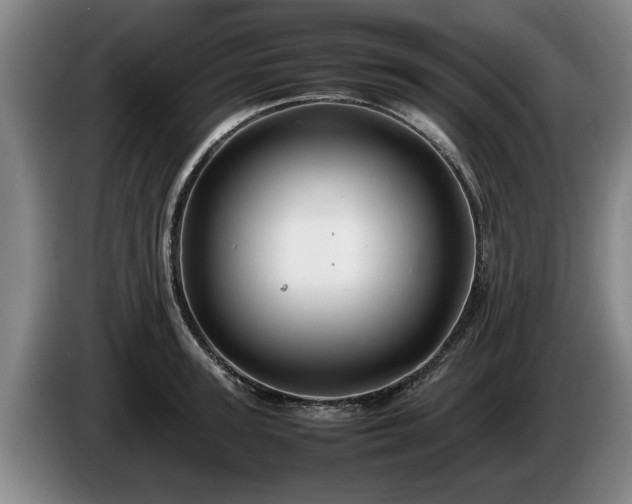 X0000086230947200704051153