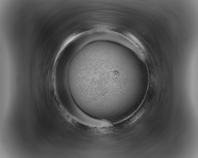X0000086230948200704051153