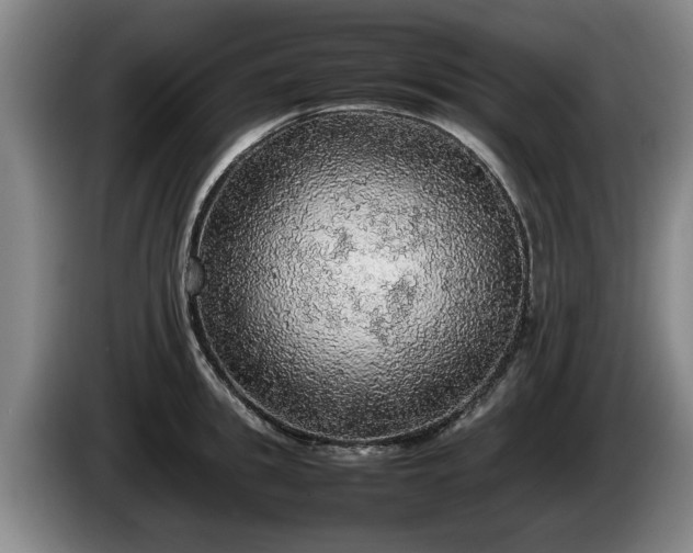 X0000086230949200704051153
