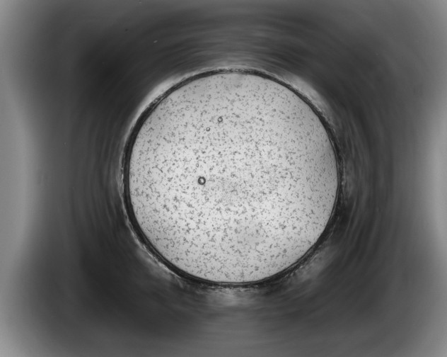 X0000086230950200704051153